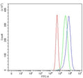 Flow cytometry testing of human U-87 MG cells with Nitric oxide synthase antibody at 1ug/million cells (blocked with goat sera); Red=cells alone, Green=isotype control, Blue= Nitric oxide synthase antibody.