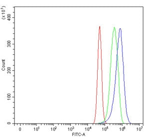 Flow cytometry testing of human U-87 MG cells with Nitric oxide synthase antibody at 1ug/million cells (blocked with goat sera); Red=cells alone, Green=isotype control, Blue= Nitric oxide synthase antibody.