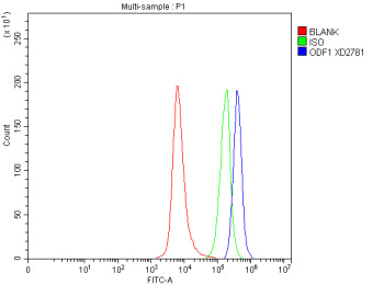 Flow Cytometry analysis of SH-SY5Y cells using anti-ODF1 antibody. Overlay histogram showing SH-SY5Y cells stained with (Blue line). To facilitate intracellular staining, cells were fixed with 4% paraformaldehyde and permeabilized with permeabilization buffer. The cells were blocked with 10% normal goat serum. And then incubated with rabbit anti-ODF1 antibody (1 ug/million cells) for 30 min at 20oC.