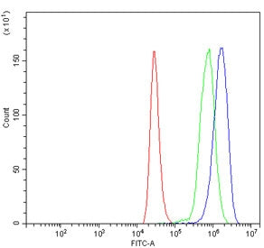 Flow cytometry testing of human ThP-1 cells with MYC antibody at 1ug/million cells (blocked with goat sera); Red=cells alone, Green=isotype control, Blue= MYC antibody.