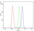 Flow cytometry testing of human HeLa cells with SLC22A3 antibody at 1ug/million cells (blocked with goat sera); Red=cells alone, Green=isotype control, Blue= SLC22A3 antibody.