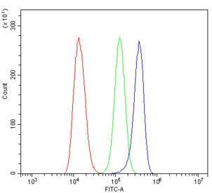 Flow cytometry testing of human HeLa cells with SLC22A3 antibody at 1ug/million cells (blocked with goat sera); Red=cells alone, Green=isotype control, Blue= SLC22A3 antibody.