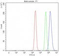 Flow cytometry testing of fixed and permeabilized human MCF7 cells with PARP10 antibody at 1ug/million cells (blocked with goat sera); Red=cells alone, Green=isotype control, Blue= PARP10 antibody.