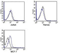 FACS testing of Rabbit IgG isotype control antibody on human samples. Black=cells alone, blue= isotype control antibody