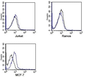 FACS testing of Rabbit IgG isotype control antibody on human samples. Black=cells alone, blue= isotype control antibody