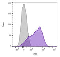 Flow cytometry testing of live Jurkat cells with CD45 antibody (clone 136-4B5, purple), and unstained cells (gray).