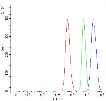 Flow cytometry testing of fixed and permeabilized human HeLa cells with RXR alpha antibody at 1ug/million cells (blocked with goat sera); Red=cells alone, Green=isotype control, Blue= RXR alpha antibody.