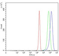 Flow cytometry testing of human HepG2 cells with DSG3 antibody at 1ug/million cells (blocked with goat sera); Red=cells alone, Green=isotype control, Blue= DSG3 antibody.