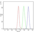 Flow cytometry testing of human HepG2 cells with CAT2 antibody at 1ug/million cells (blocked with goat sera); Red=cells alone, Green=isotype control, Blue= CAT2 antibody.