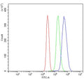 Flow cytometry testing of human U937 cells with NOX2/gp91phox antibody at 1ug/million cells (blocked with goat sera); Red=cells alone, Green=isotype control, Blue= NOX2/gp91phox antibody.