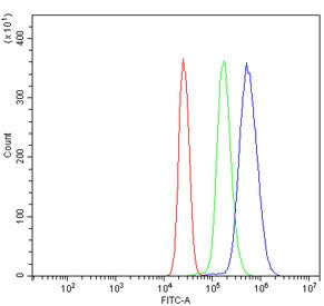 Flow cytometry testing of human U937 cells with NOX2/gp91phox antibody at 1ug/million cells (blocked with goat sera); Red=cells alone, Green=isotype control, Blue= NOX2/gp91phox antibody.