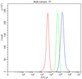 Western blot testing of human 1) HeLa, 2) SKOV, 3) MCF7, and 4) SW620 cell lysate with PIGR antibody. Expected/observed molecular weight ~83 kDa.