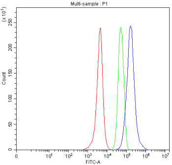 Western blot testing of human 1) HeLa, 2) SKOV, 3) MCF7, and 4) SW620 cell lysate with PIGR antibody. Expected/observed molecular weight ~83 kDa.