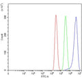 Flow cytometry testing of human MCF7 cells with TSPYL5 antibody at 1ug/million cells (blocked with goat sera); Red=cells alone, Green=isotype control, Blue= TSPYL5 antibody.