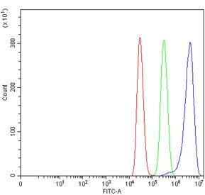 Flow cytometry testing of human MCF7 cells with TSPYL5 antibody at 1ug/million cells (blocked with goat sera); Red=cells alone, Green=isotype control, Blue= TSPYL5 antibody.