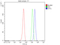 Flow Cytometry analysis of HEL cells using anti-SYF2 antibody. Overlay histogram showing HEL cells stained with (Blue line). To facilitate intracellular staining, cells were fixed with 4% paraformaldehyde and permeabilized with permeabilization buffer. The cells were blocked with 10% normal goat serum. And then incubated with rabbit anti-SYF2 antibody (1 ug/million cells) for 30 min at 20oC.