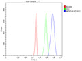 Flow Cytometry analysis of Jurkat cells using anti-MPND antibody. Overlay histogram showing Jurkat cells stained with (Blue line). To facilitate intracellular staining, cells were fixed with 4% paraformaldehyde and permeabilized with permeabilization buffer. The cells were blocked with 10% normal goat serum. And then incubated with rabbit anti-MPND antibody (1 ug/million cells) for 30 min at 20oC.