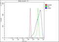 Flow Cytometry analysis of K562 cells using anti-ROR2 antibody. Overlay histogram showing K562 cells stained with (Blue line). The cells were fixed with 4% paraformaldehyde and blocked with 10% normal goat serum. And then incubated with rabbit anti-ROR2 antibody (1 ug/million cells) for 30 min at 20oC. DyLight 488 conjugated goat anti-rabbit IgG (5-10 ug/million cells) was used as secondary antibody for 30 min at 20oC.