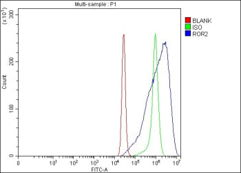 Flow Cytometry analysis of K562 cells using anti-ROR2 antibody. Overlay histogram showing K562 cells stained with (Blue line). The cells were fixed with 4% paraformaldehyde and blocked with 10% normal goat serum. And then incubated with rabbit anti-ROR2 antibody (1 ug/million cells) for 30 min at 20oC. DyLight 488 conjugated goat anti-rabbit IgG (5-10 ug/million cells) was used as secondary antibody for 30 min at 20oC.