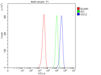 Flow Cytometry analysis of HEL cells using anti-SGCZ antibody. Overlay histogram showing HEL cells stained with (Blue line). To facilitate intracellular staining, cells were fixed with 4% paraformaldehyde and permeabilized with permeabilization buffer. The cells were blocked with 10% normal goat serum. And then incubated with rabbit anti-SGCZ antibody (1 ug/million cells) for 30 min at 20oC.