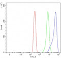 Flow cytometry testing of fixed and permeabilized human SiHa cells with APLP1 antibody at 1ug/million cells (blocked with goat sera); Red=cells alone, Green=isotype control, Blue= APLP1 antibody.