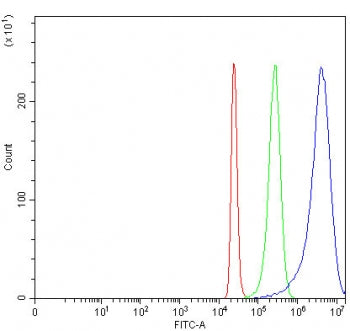 Flow cytometry testing of fixed and permeabilized human 293T cells with NARF antibody at 1ug/million cells (blocked with goat sera); Red=cells alone, Green=isotype control, Blue= NARF antibody.
