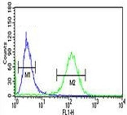 RAB27B antibody flow cytometric analysis of NCI-H460 cells (green) compared to a negative control (blue). FITC-conjugated goat-anti-rabbit secondary Ab was used for the analysis.