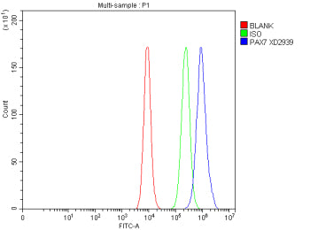 Flow Cytometry analysis of CACO-2 cells using anti-PAX7 antibody. Overlay histogram showing CACO-2 cells stained with (Blue line). To facilitate intracellular staining, cells were fixed with 4% paraformaldehyde and permeabilized with permeabilization buffer. The cells were blocked with 10% normal goat serum. And then incubated with rabbit anti-PAX7 antibody (1 ug/million cells) for 30 min at 20oC.