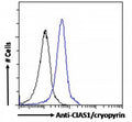 FACS testing of fixed and permeabilized human U937 cells with NALP3 antibody (blue) at 10ug/10^6 cells and naive goat Ig (black).