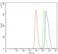 Flow cytometry testing of human HEL cells with ALAS1 antibody at 1ug/million cells (blocked with goat sera); Red=cells alone, Green=isotype control, Blue= ALAS1 antibody.