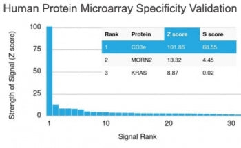 Analysis of HuProt(TM) microarray containing more than 19,000 full-length human proteins using BRCA-1 antibody (clone BRCA1/2973). These results demonstrate the foremost specificity of the BRCA1/2973 mAb. Z- and S- Score: The Z-score represents the strength of a signal that a monoclonal antibody (clone MAb) (in combination with a fluorescently-tagged anti-IgG secondary antibody) produces when binding to a particular protein on the HuProt(TM) array.