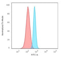 Flow cytometry staining of human HeLa cells with Spectrin beta III antibody; Red=isotype control, Blue= Spectrin beta III antibody.