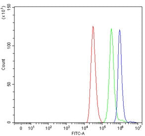 Flow cytometry testing of human ThP-1 cells with PALB2 antibody at 1ug/million cells (blocked with goat sera); Red=cells alone, Green=isotype control, Blue= PALB2 antibody.