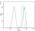 Flow cytometry testing of human HepG2 cells with MERTK antibody at 1ug/million cells (blocked with goat sera); Red=cells alone, Green=isotype control, Blue= MERTK antibody.