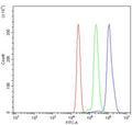 Flow cytometry testing of human U937 cells with Toll-like receptor 4 antibody at 1ug/million cells (blocked with goat sera); Red=cells alone, Green=isotype control, Blue= Toll-like receptor 4 antibody.