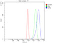 Flow Cytometry analysis of Caco-2 cells using anti-EURL antibody. Overlay histogram showing Caco-2 cells stained with (Blue line). To facilitate intracellular staining, cells were fixed with 4% paraformaldehyde and permeabilized with permeabilization buffer. The cells were blocked with 10% normal goat serum. And then incubated with rabbit anti-EURL antibody (1 ug/million cells) for 30 min at 20oC.