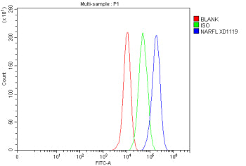 Flow Cytometry analysis of MCF-7 cells using anti-CIAO3 antibody. Overlay histogram showing MCF-7 cells stained with (Blue line). The cells were fixed with 4% paraformaldehyde and blocked with 10% normal goat serum. And then incubated with rabbit anti-CIAO3 antibody (1 ug/million cells) for 30 min at 20oC. DyLight 488 conjugated goat anti-rabbit IgG (5-10 ug/million cells) was used as secondary antibody for 30 min at 20oC.