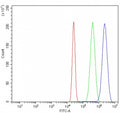 Flow cytometry testing of fixed and permeabilized human K562 cells with CHK1 antibody at 1ug/million cells (blocked with goat sera); Red=cells alone, Green=isotype control, Blue= CHK1 antibody.