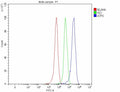 Flow Cytometry analysis of 293T cells using anti-ATF5 antibody. Overlay histogram showing 293T cells stained with (Blue line). To facilitate intracellular staining, cells were fixed with 4% paraformaldehyde and permeabilized with permeabilization buffer. The cells were blocked with 10% normal goat serum. And then incubated with rabbit anti-ATF5 antibody (1 ug/million cells) for 30 min at 20oC.