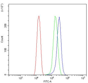 Flow cytometry testing of human U-2 OS cells with THBS1 antibody at 1ug/million cells (blocked with goat sera); Red=cells alone, Green=isotype control, Blue= THBS1 antibody.