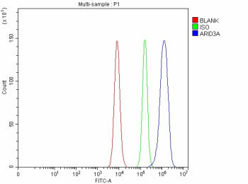 Flow Cytometry analysis of Caco-2 cells using anti-ARID3A antibody. Overlay histogram showing Caco-2 cells stained with (Blue line). To facilitate intracellular staining, cells were fixed with 4% paraformaldehyde and permeabilized with permeabilization buffer. The cells were blocked with 10% normal goat serum. And then incubated with rabbit anti-ARID3A antibody (1 ug/million cells) for 30 min at 20oC.