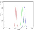 Flow cytometry testing of human A549 cells with TRAF1 antibody at 1ug/million cells (blocked with goat sera); Red=cells alone, Green=isotype control, Blue= TRAF1 antibody.