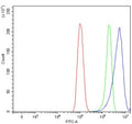 Flow cytometry testing of human PC-3 cells with DSP antibody at 1ug/million cells (blocked with goat sera); Red=cells alone, Green=isotype control, Blue= DSP antibody.