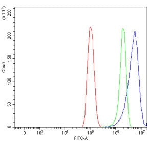 Flow cytometry testing of human PC-3 cells with DSP antibody at 1ug/million cells (blocked with goat sera); Red=cells alone, Green=isotype control, Blue= DSP antibody.