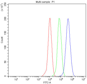 Western blot testing of human 1) HeLa, 2) 22RV1, 3) MCF7 and 4) SW620 cell lysate with PIK3R2 antibody. Expected/observed molecular weight ~85 kDa.