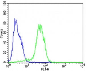 Flow cytometric analysis of HepG2 cells using Epcam antibody (green) compared to an isotype control of rabbit IgG (blue); Ab was diluted at 1:25 dilution. An Alexa Fluor 488 goat anti-rabbit lgG was used as the secondary Ab.