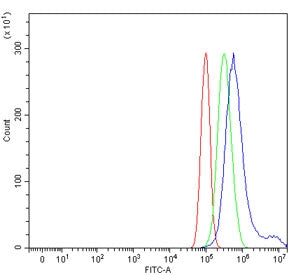 Flow cytometry testing of human PC-3 cells with TCPTP antibody at 1ug/million cells (blocked with goat sera); Red=cells alone, Green=isotype control, Blue= TCPTP antibody.