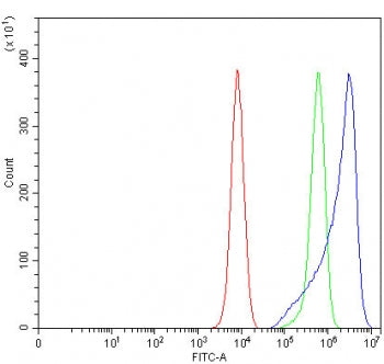 Flow cytometry testing of fixed and permeabilized human K562 cells with RTN4IP1 antibody at 1ug/million cells (blocked with goat sera); Red=cells alone, Green=isotype control, Blue= RTN4IP1 antibody.