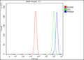 Flow Cytometry analysis of SH-SY5Y cells using anti-PDE8A antibody. Overlay histogram showing SH-SY5Y cells stained with (Blue line). To facilitate intracellular staining, cells were fixed with 4% paraformaldehyde and permeabilized with permeabilization buffer. The cells were blocked with 10% normal goat serum. And then incubated with rabbit anti-PDE8A antibody (1 ug/million cells) for 30 min at 20oC.