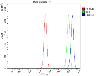 Flow Cytometry analysis of SH-SY5Y cells using anti-PDE8A antibody. Overlay histogram showing SH-SY5Y cells stained with (Blue line). To facilitate intracellular staining, cells were fixed with 4% paraformaldehyde and permeabilized with permeabilization buffer. The cells were blocked with 10% normal goat serum. And then incubated with rabbit anti-PDE8A antibody (1 ug/million cells) for 30 min at 20oC.